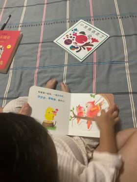 《小鸡球球亲子游戏玩具书》：每天玩的很开心，一夸奖又很开心， 就越来越喜欢看