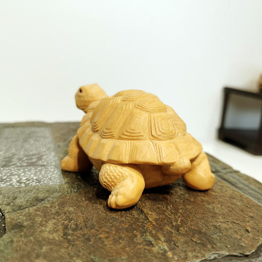 富甲一方神龟°大款&小款 商品图1