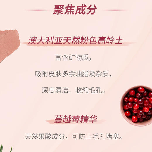 XX 澳洲Swisse清洁面膜70g 蔓越莓味 商品图3