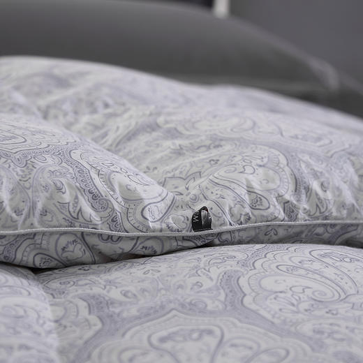 舒爽体感 梅森暖柔波兰鹅绒被 商品图2