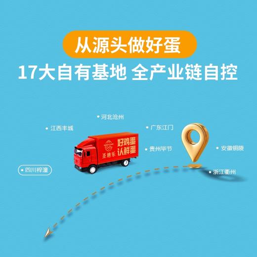 【团购】圣迪乐新鲜鸡蛋安菌蛋30枚 商品图4