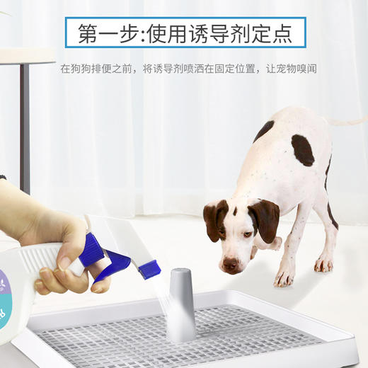 道力其宠物定位排便诱导剂500ml狗狗猫咪定点排便训练喷剂诱导剂 商品图3