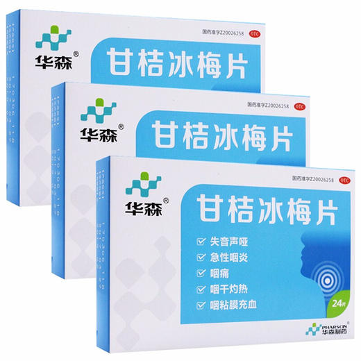 华森甘桔冰梅片24片 柑橘冰梅片失音声哑急性咽炎咽痛咽干灼热 商品图1