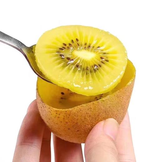 【新西兰🇳🇿佳沛金果💛·性价比小果】奇异果界的天花板，小身材大能量，果香芬芳诱人心田，皮薄多汁，果肉细腻，越放越香甜，俗称“VC小金矿” 商品图6