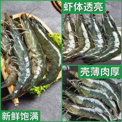 新鲜冷冻正大大青虾/盒 净重3斤左右 商品图2