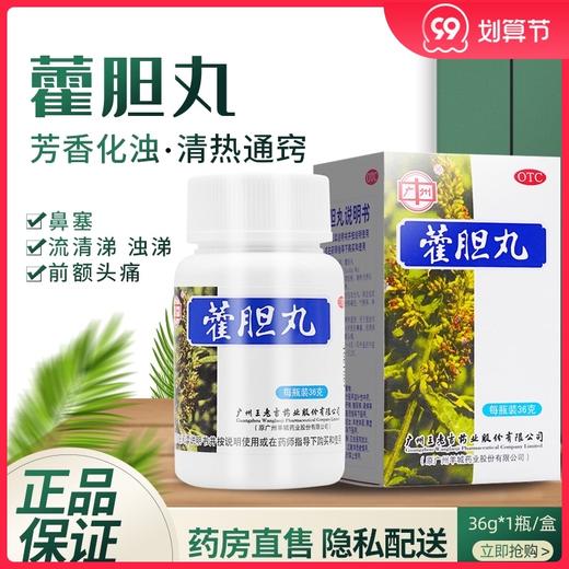 王老吉 藿胆丸36g芳香化浊清热通窍 鼻塞 流清涕 浊涕 前额头痛 商品图0
