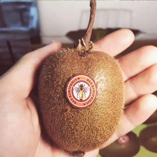 【精品礼盒限量抢购】蜜蜂奇异果礼盒(18颗，重约5斤)【当天提货】 商品图12