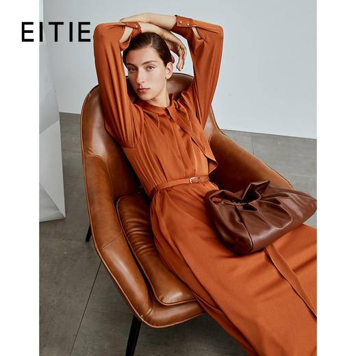 EITIE爱特爱秋季新款女装立领时尚系带连衣裙长裙6707417 商品图0