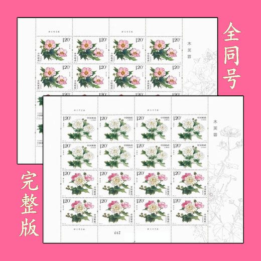 预定！2021年《木芙蓉》邮票 商品图0