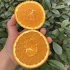 澳洲黑标3107橙 商品缩略图4