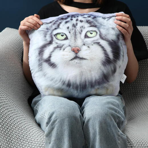 兔狲异形pp棉沙发简约毛绒可拆洗抱枕护腰靠枕 商品图0