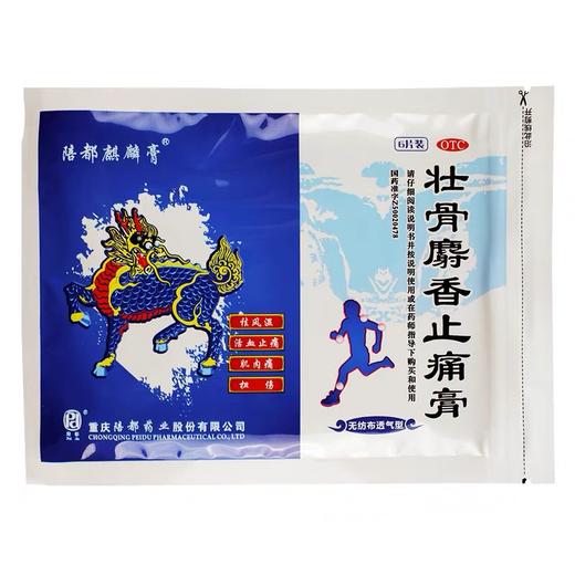 KJ 壮骨麝香止痛膏  6片*2袋(无纺布透气型) 活血止痛 风湿关节痛 扭伤 商品图1