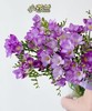 【新春油画】小苍兰 紫色 20枝 | 新客福利 商品缩略图2