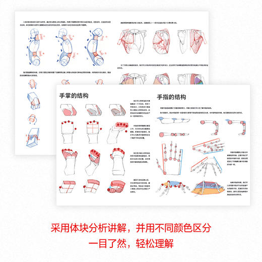 人体结构原理与绘画教学 商品图4