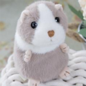 小达尔文15cm