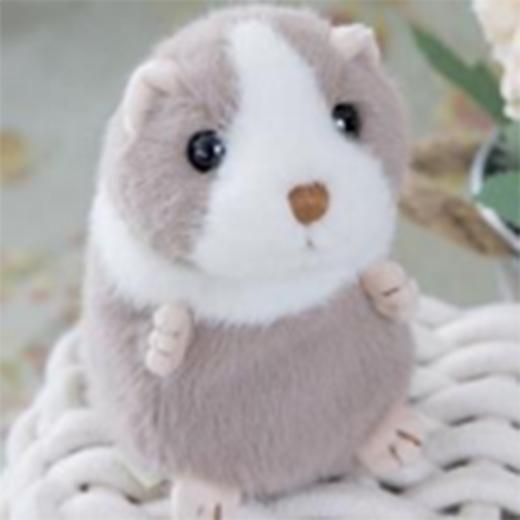 小达尔文15cm 商品图0