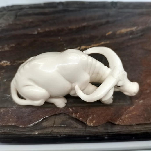 鹿角牛 商品图1