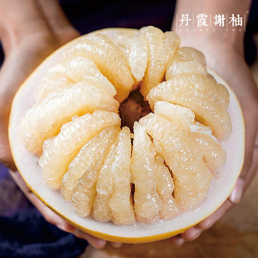 【韶关丹霞谢柚】长坝沙田柚|98元起抢购8斤礼盒装4个，158元抢购14斤实惠袋装，纯甜蜜香，送礼佳品，全国地理标志产品，省内包邮~ 商品图1