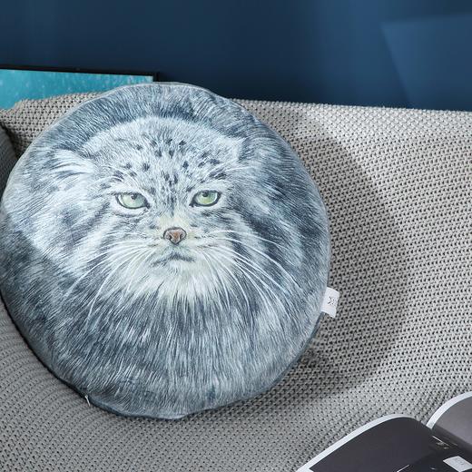 兔狲手绘写实风毛绒抱枕靠垫（升级版） 商品图0