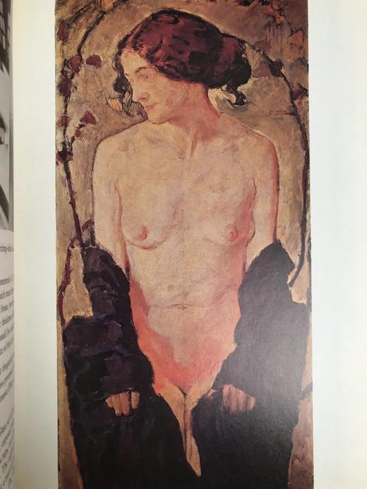 维也纳艺术图集 200余幅插图 精装大16开 商品图6