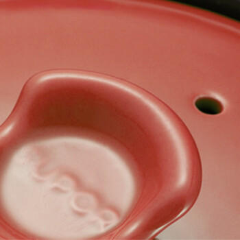 苏泊尔新陶养生煲.怡悦系列.深汤煲TB60C1 商品图3