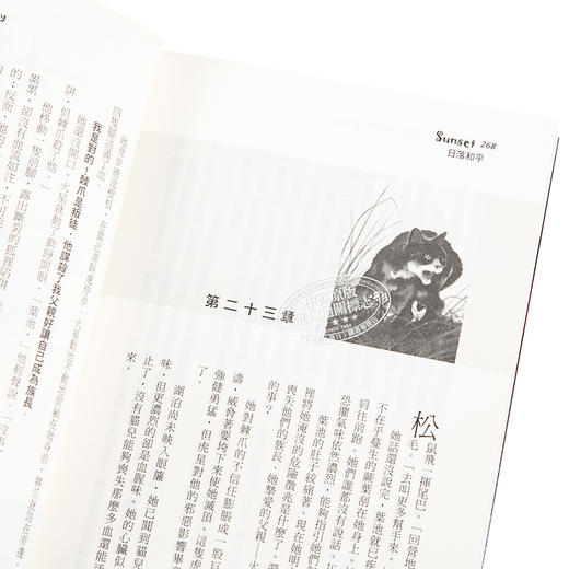 【中商原版】猫战士畅销纪念版 二部曲新预言之六 日落和平 港台原版 艾琳杭特 晨星出版 奇幻小说 商品图3