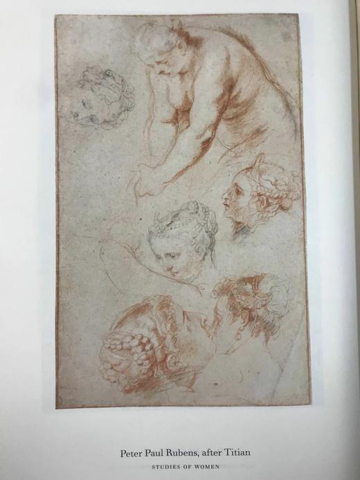 鲁本斯时代的佛兰芒派绘画 76幅插图 精装8开 商品图10