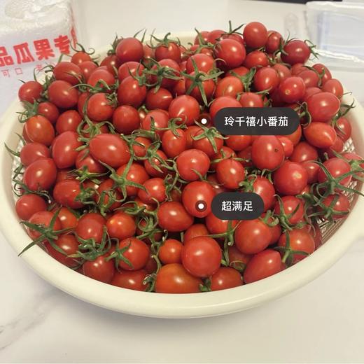 玲珑圣女果 1斤 （小果） 商品图0