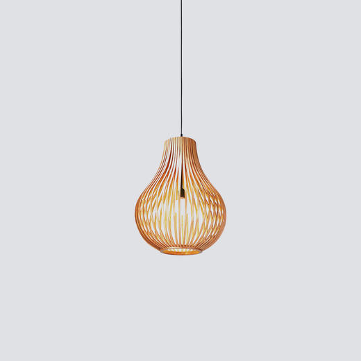 NS家居nsfurniture现代简约进口实木吊灯NSLT-LH-30888/30854 商品图2