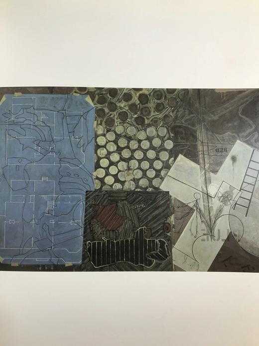 布罗德夫妇艺术藏品图集 170幅插图（140幅彩色） 精装大16开 商品图9