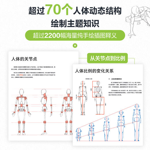 人体结构原理与绘画教学 商品图3