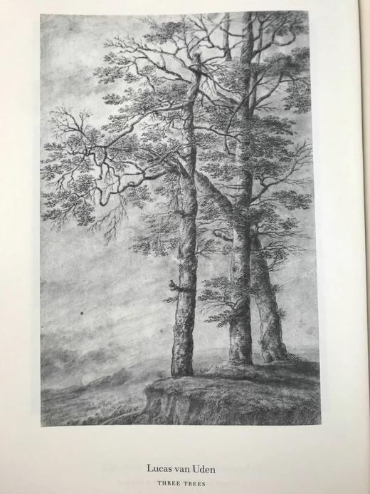 鲁本斯时代的佛兰芒派绘画 76幅插图 精装8开 商品图6