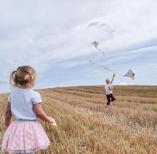 DJECO风筝 - 一只注定出现就全场C位的风筝（BJQ专用链接） 商品图7