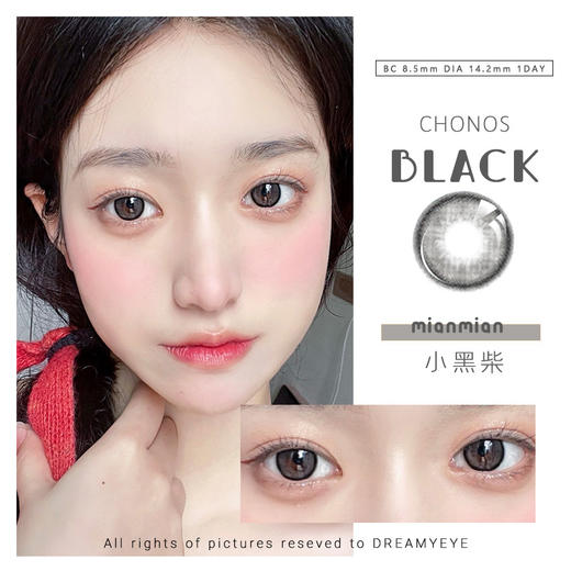 「6盒均￥56」CHONOS 小黑柴 | 日抛 商品图0