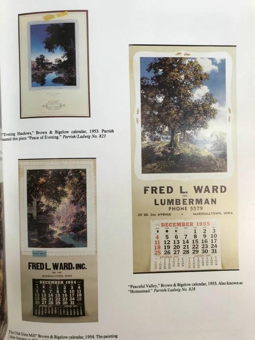 马克斯菲尔德·帕里什画集 约千幅彩色插图 精装大16开 商品图7