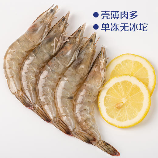 中粮凌鲜 鲜冻白对虾300g（20/30规格）盒装 商品图3