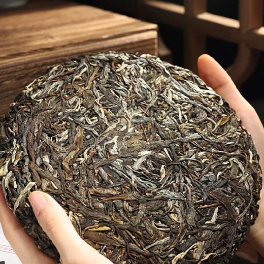 大雪山古树茶 商品图4