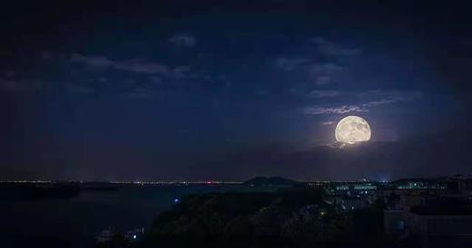 深圳海归校友会中秋出海联谊活动 商品图0