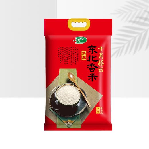 （分2个包裹）十月稻田 东北香米5kg*2袋+ 金字 环球美食礼盒 640g/盒【鲜享3.0】 商品图1