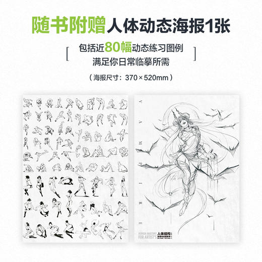 人体结构原理与绘画教学 商品图2