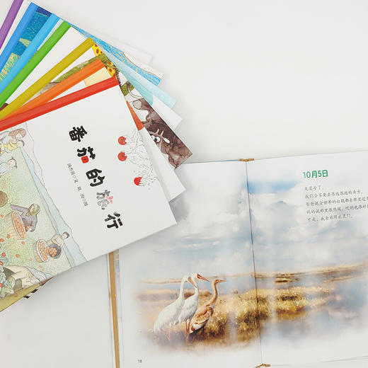 【3-6岁】美慧树原创绘本 市场版套装 商品图2