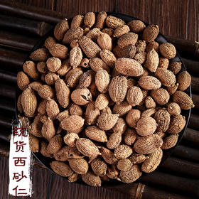 带壳西砂仁统货500克 1000克