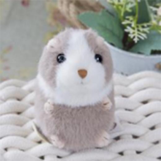 达尔文挂件11cm 商品图0