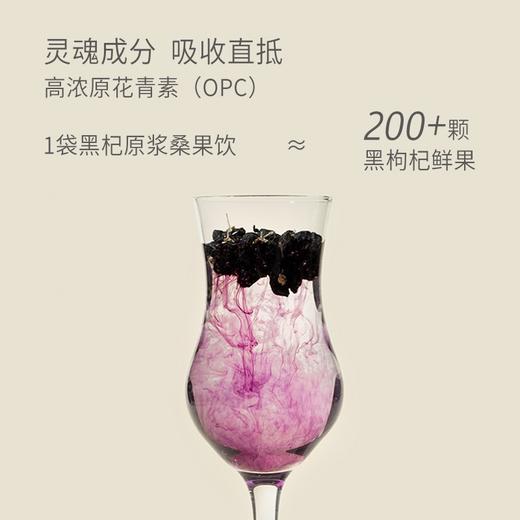 贡植堂GONGZHITANG 黑杞原浆桑葚饮 商品图2