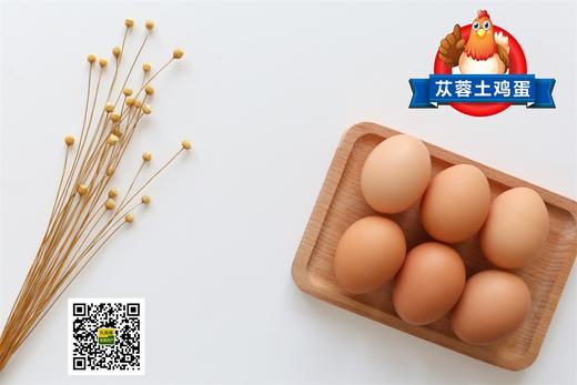 七木格苁蓉溏心鸡蛋30枚 商品图2