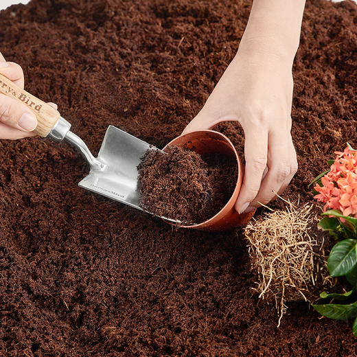 Berry&Bird不锈钢女士手铲 商品图0