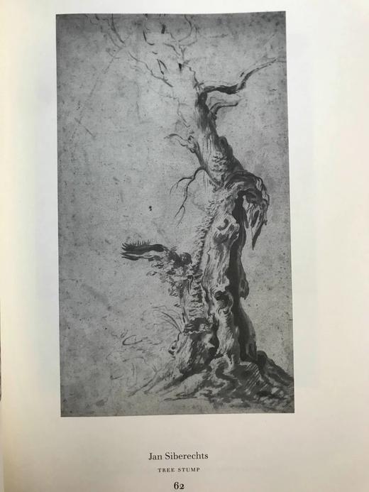 鲁本斯时代的佛兰芒派绘画 76幅插图 精装8开 商品图9