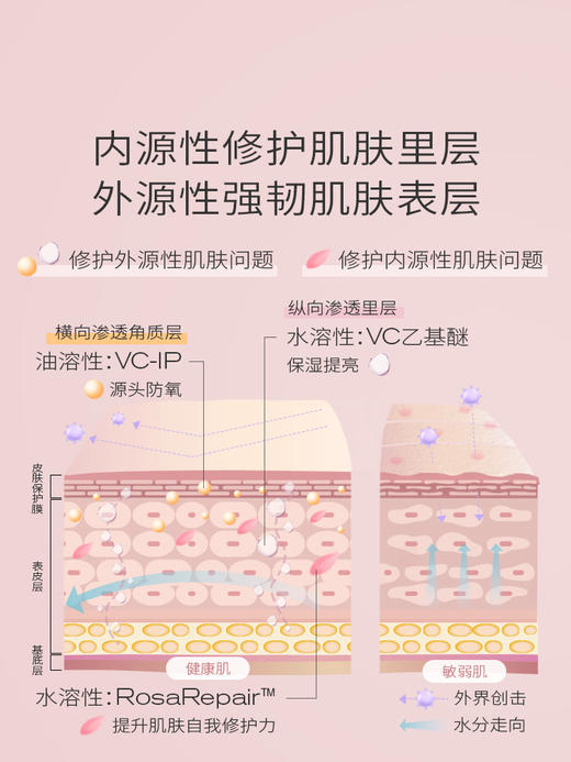 【维稳焕亮】PMPM千叶玫瑰精华油护肤油 进阶版精华液肌底液面部精华提亮玫瑰水新 商品图4