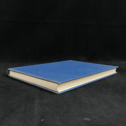 维也纳艺术图集 200余幅插图 精装大16开 商品图1