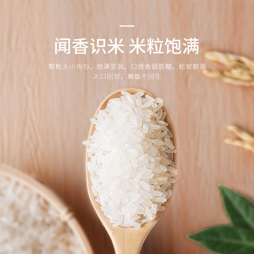 天造地设2021新米东北香大米5kg10斤农家香米新米粳米 商品图3
